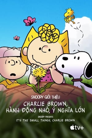 Snoopy Giới Thiệu: Charlie Brown, Hành Động Nhỏ, Ý Nghĩa Lớn – Snoopy Presents: It’s the Small Things, Charlie Brown